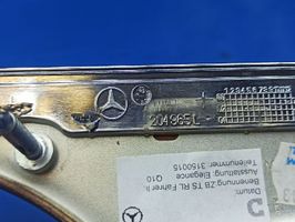 Mercedes-Benz E W211 Barra di rivestimento della portiera anteriore 3150015