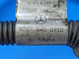 Mercedes-Benz E C207 W207 Laidai (generatoriaus) A2075400710