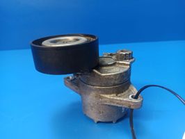 Mercedes-Benz E W211 Napinacz paska wielorowkowego / Alternatora 950151