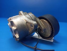 Mercedes-Benz E W211 Napinacz paska wielorowkowego / Alternatora 950151