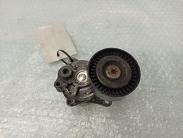 Mercedes-Benz E W211 Tendicinghia generatore/alternatore 