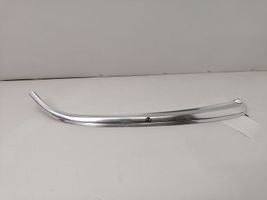 Mercedes-Benz S W116 Rivestimento montante (C) 