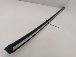 Mercedes-Benz S W116 Rivestimento della portiera anteriore (modanatura) 