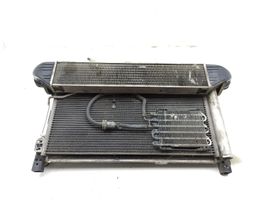 Mercedes-Benz C W203 Set del radiatore A2036000664