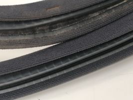 Mercedes-Benz C W203 Rear door rubber seal (on body) A2036972551