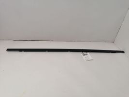 Mercedes-Benz C W203 Rear door glass trim molding 