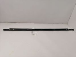 Mercedes-Benz C W203 Rear door glass trim molding 