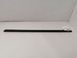 Mercedes-Benz C W203 Front door glass trim molding 