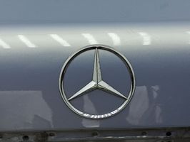 Mercedes-Benz S W220 Takaluukun/tavaratilan kansi 