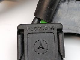 Mercedes-Benz A W168 Faisceau de câblage de porte avant 1685404508