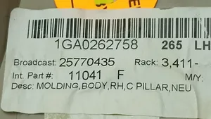 Cadillac SRX (C) pillar trim 25770435