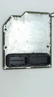 Cadillac SRX Sterownik / Moduł ECU 24233506