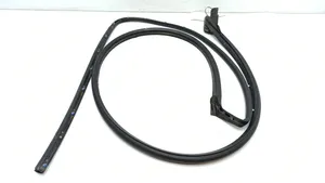 Cadillac SRX Front door rubber seal 