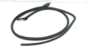 Cadillac SRX Front door rubber seal 