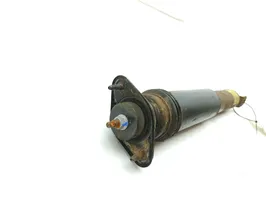 Cadillac SRX Rear shock absorber/damper 21992495