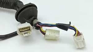 Lexus LS 430 Cableado de puerta trasera 8215450050