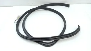 Lexus LS 430 Front door rubber seal 