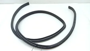 Lexus LS 430 Front door rubber seal 