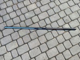 Fiat 500 Front door glass trim molding 