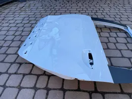 Dacia Lodgy Rear door 