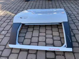 Dacia Lodgy Rear door 