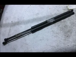 Renault Grand Modus Tailgate/trunk strut/damper 