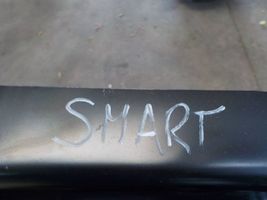 Smart ForTwo III C453 (B) Pillar trim (exterior) 