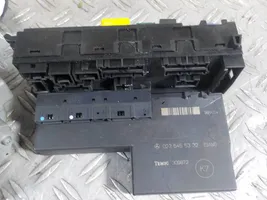 Mercedes-Benz E W210 Sterownik / Moduł ECU A0255455532