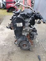 Ford Kuga I Moteur D4204T