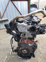 Ford Kuga I Moteur D4204T