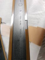 Toyota C-HR Rivestimento della portiera anteriore (modanatura) PW156-10000-BN