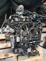 Ford Fiesta Moteur SFJH