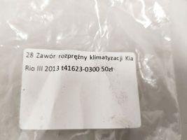 KIA Rio Oro kondicionieriaus išsiplėtimo vožtuvas T41623-0300