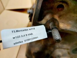 Mercedes-Benz W123 Bloc moteur 6150113001