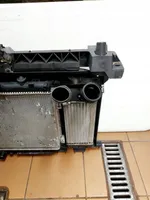 Citroen Berlingo Kit Radiateur 