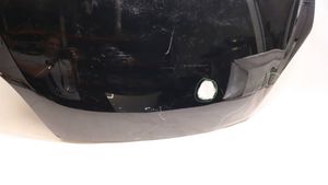 Tesla Model X Pokrywa przednia / Maska silnika 1069531E0C