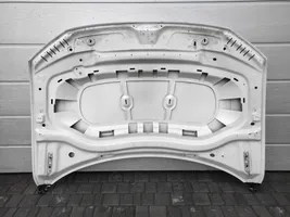 Volkswagen Tiguan Allspace Dangtis variklio (kapotas) 