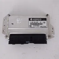 KIA Picanto Engine control unit/module 3911002025