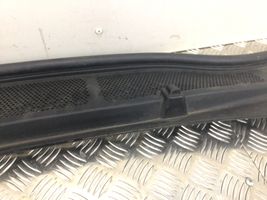 Ford S-MAX Распылитель (распылители) оконной жидкости лобового стекла EM2BR02216AB