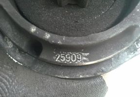 BMW 5 E39 Starter motor 005821830