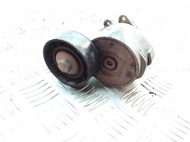 Fiat Doblo Tendicinghia dell’alternatore 55190813