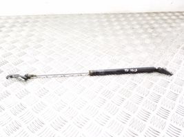 Toyota Yaris Tailgate/trunk strut/damper 