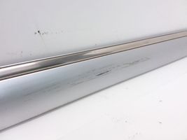 Mercedes-Benz S W220 Rivestimento portiera posteriore (modanatura) A2206900862