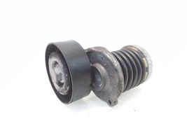 Volkswagen Tiguan Napinacz paska alternatora 038903315AH