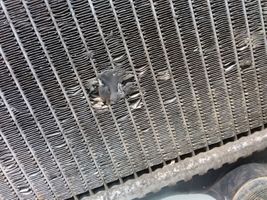 Peugeot 307 Radiateur de refroidissement 9637043380