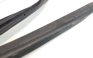 Ford Focus Rear door rubber seal (on body) 