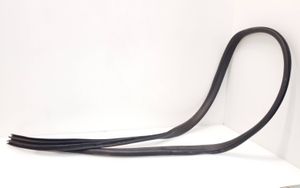 Ford Focus Rear door rubber seal (on body) 