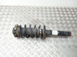 Volkswagen Caddy Front shock absorber with coil spring 824904013020