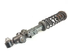 BMW 5 F10 F11 Rear shock absorber with coil spring 6796859