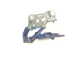 BMW 5 G30 G31 Cerniere del vano motore/cofano 7347407